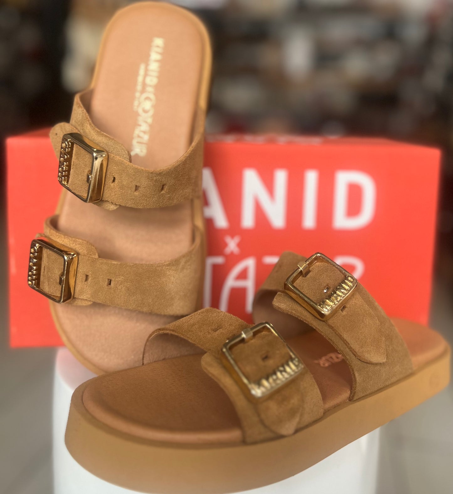 Kianid X Cotazur