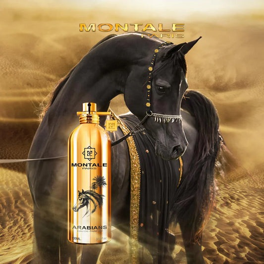 Montale Arabians